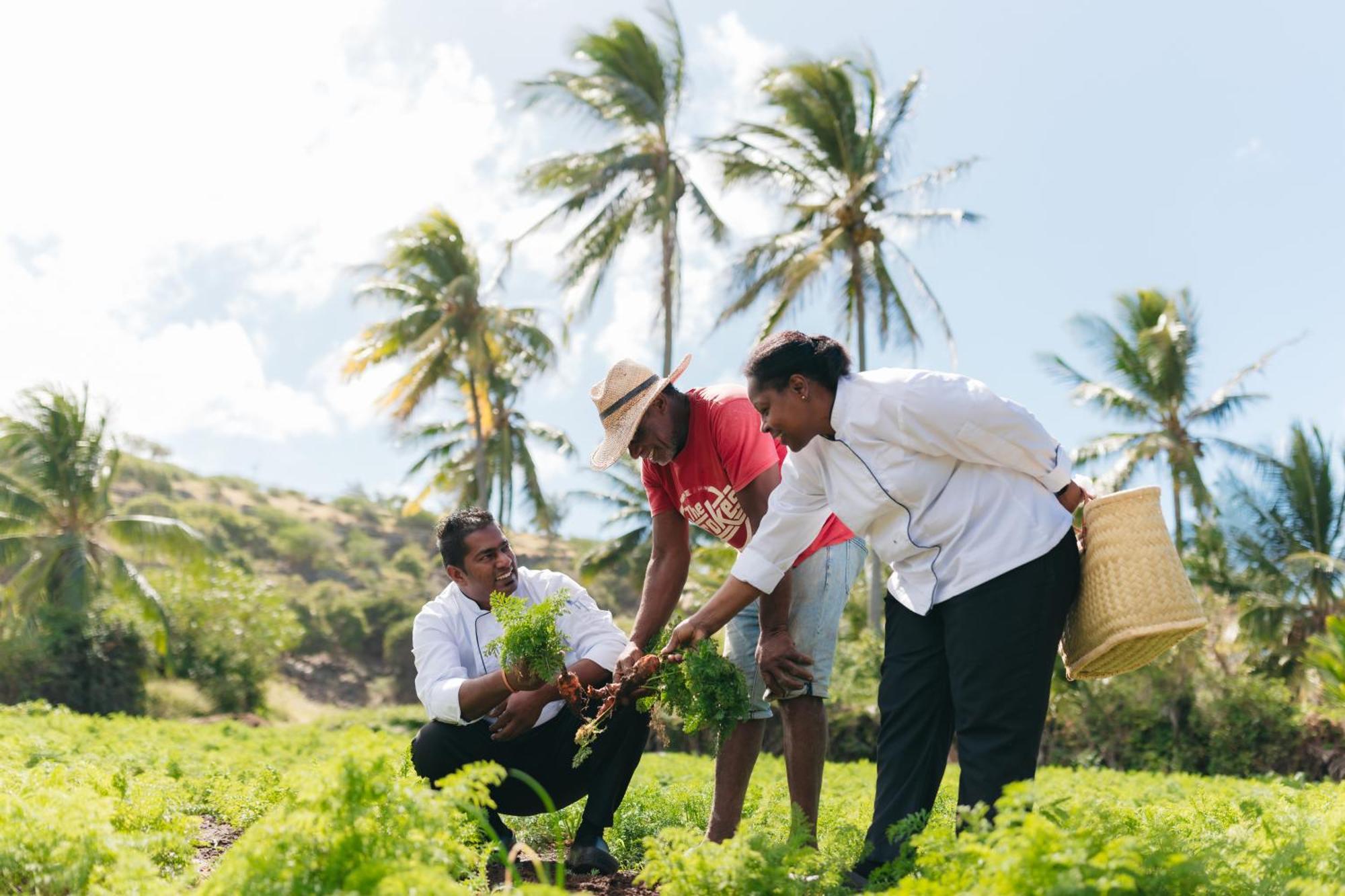 Cotton Bay Resort & Spa Trefles المظهر الخارجي الصورة