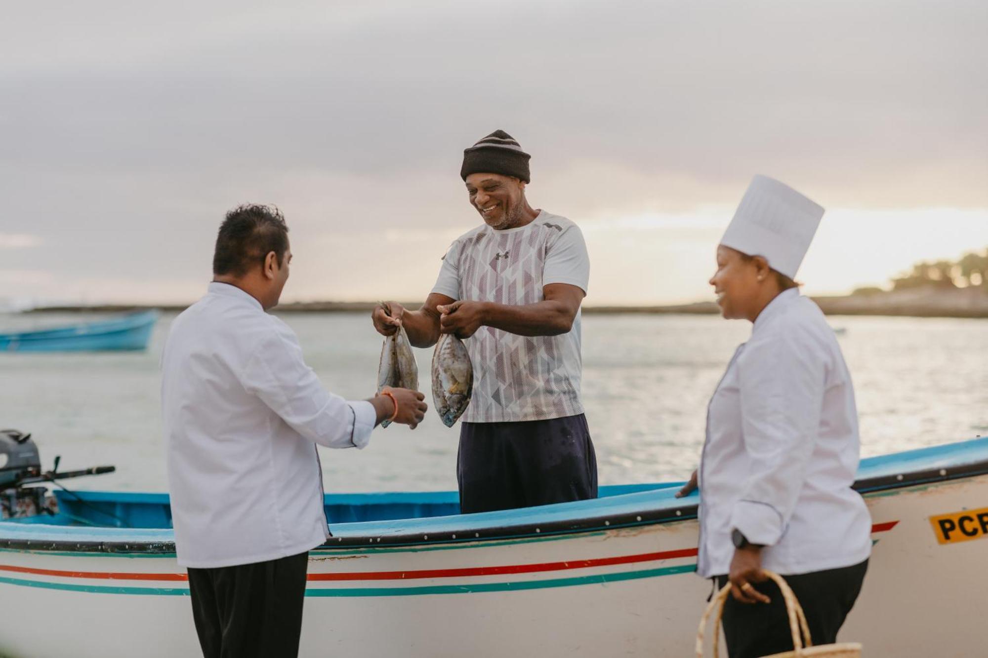 Cotton Bay Resort & Spa Trefles المظهر الخارجي الصورة